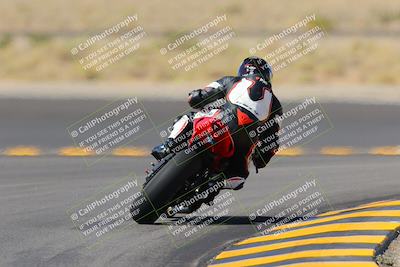 media/Oct-08-2022-SoCal Trackdays (Sat) [[1fc3beec89]]/Turn 11 Backside (1145am)/